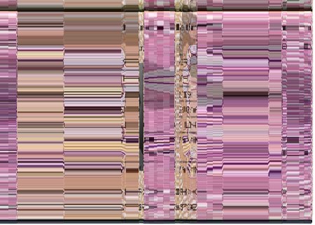 my_passport.jpg